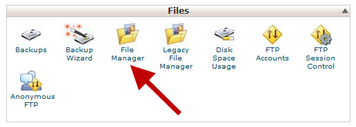 בוחרים עם Filemanager בשרת