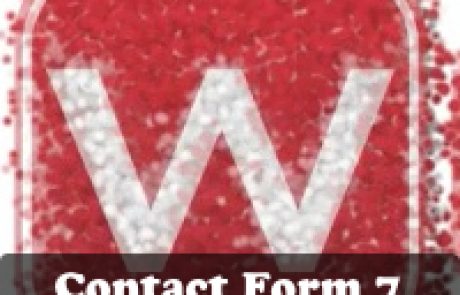 מדריך וורדפרס לאיך להילחם בספאם – Contact Form 7 Honeypot